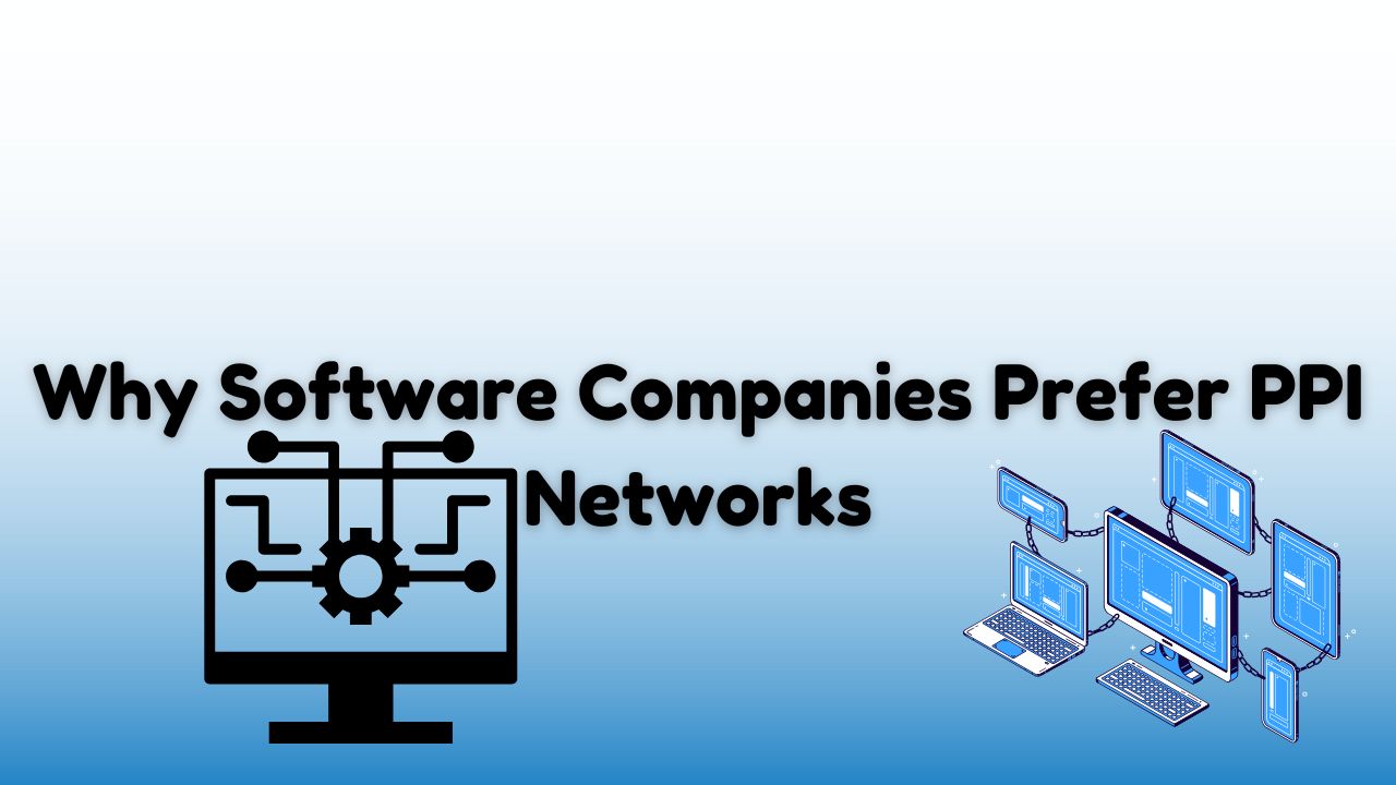 Why Software Companies Prefer PPI Networks